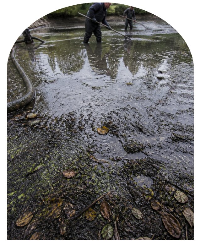Очистка пруда в Сосногорске от ила мусора и водорослей с вывозом